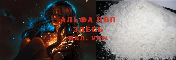 ECSTASY Белокуриха
