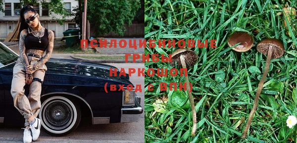 ПСИЛОЦИБИНОВЫЕ ГРИБЫ Балабаново